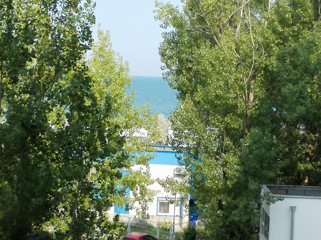 Blue Bike Studio Mamaia Room photo